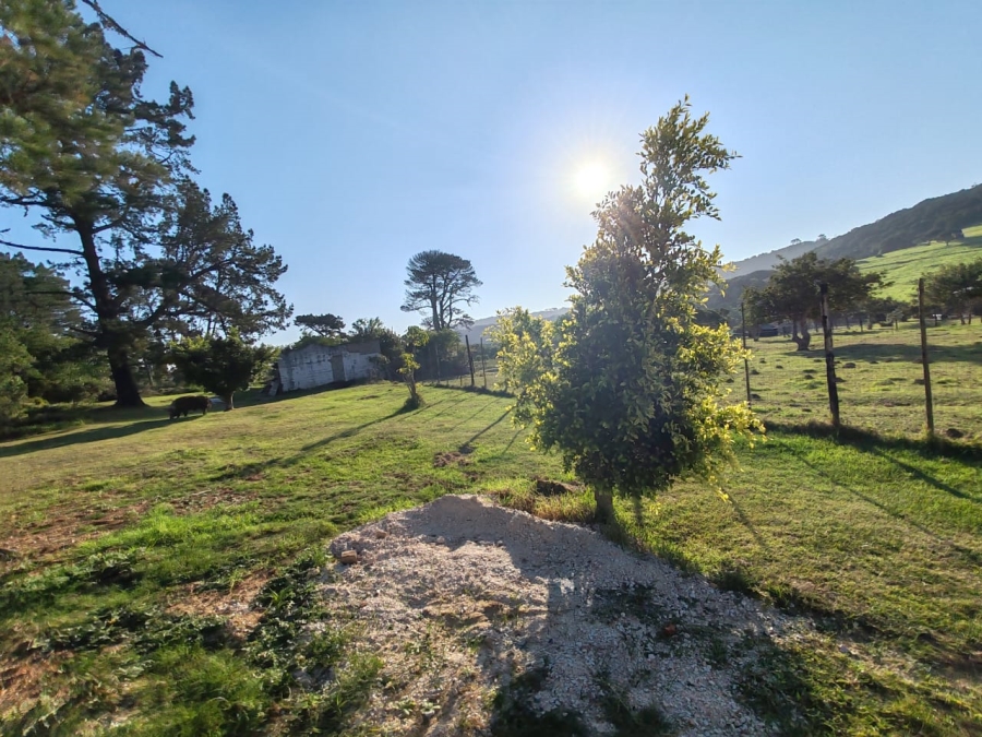 Commercial Property for Sale in Colleen Glen Eastern Cape